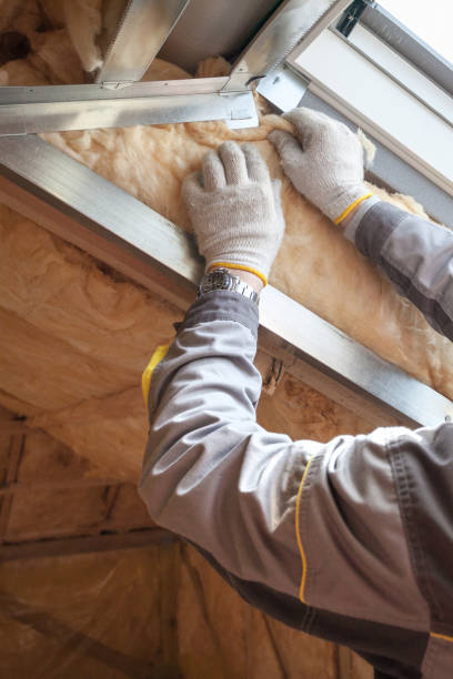 Best Eco-Friendly Insulation in Milliken, CO